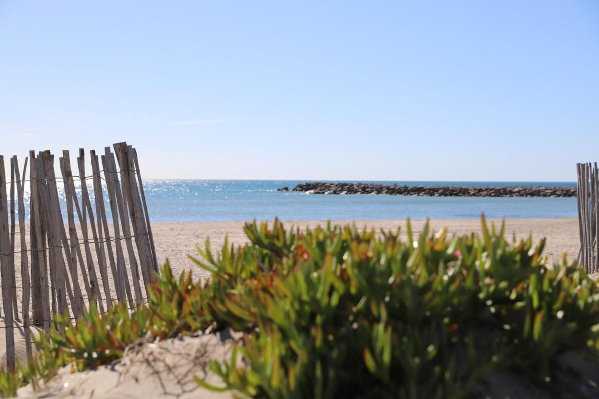 T2 La Dolce Acces Prive 1 Ere Ligne Palavas-les-Flots